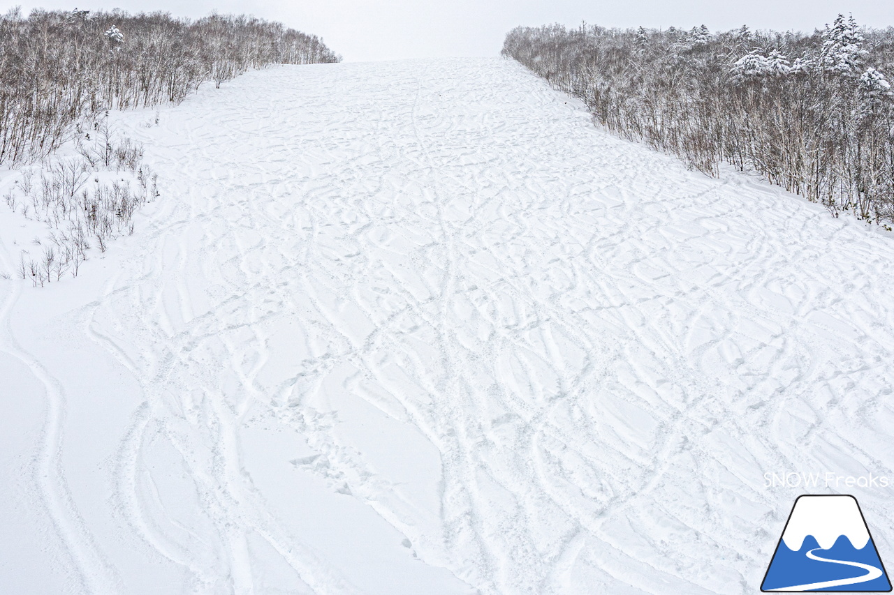 大雪の恩恵に感謝しながらパウダーを滑る！北海道発 スキー・アウトドア専門店『パドルクラブ』のスタッフたちの休日。【記録的大雪編】in 十勝サホロリゾート